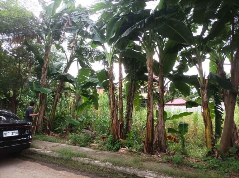 viber image 2023 09 25 11 08 57 329 768x574