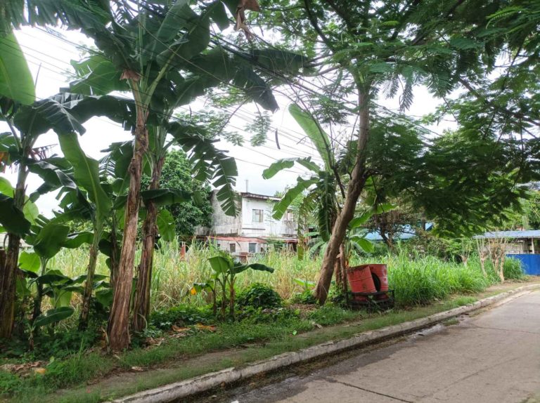 viber image 2023 09 25 11 08 59 269 768x574